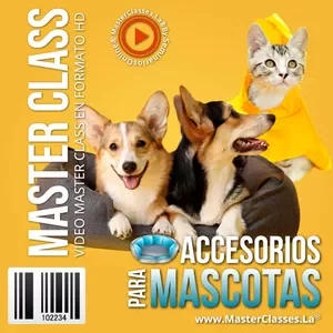 Curso Accesorios para Mascotas