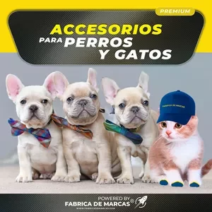 Curso: Accesorios para Perros y Gatos