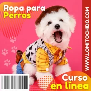 Curso Costura de ropa para Perros